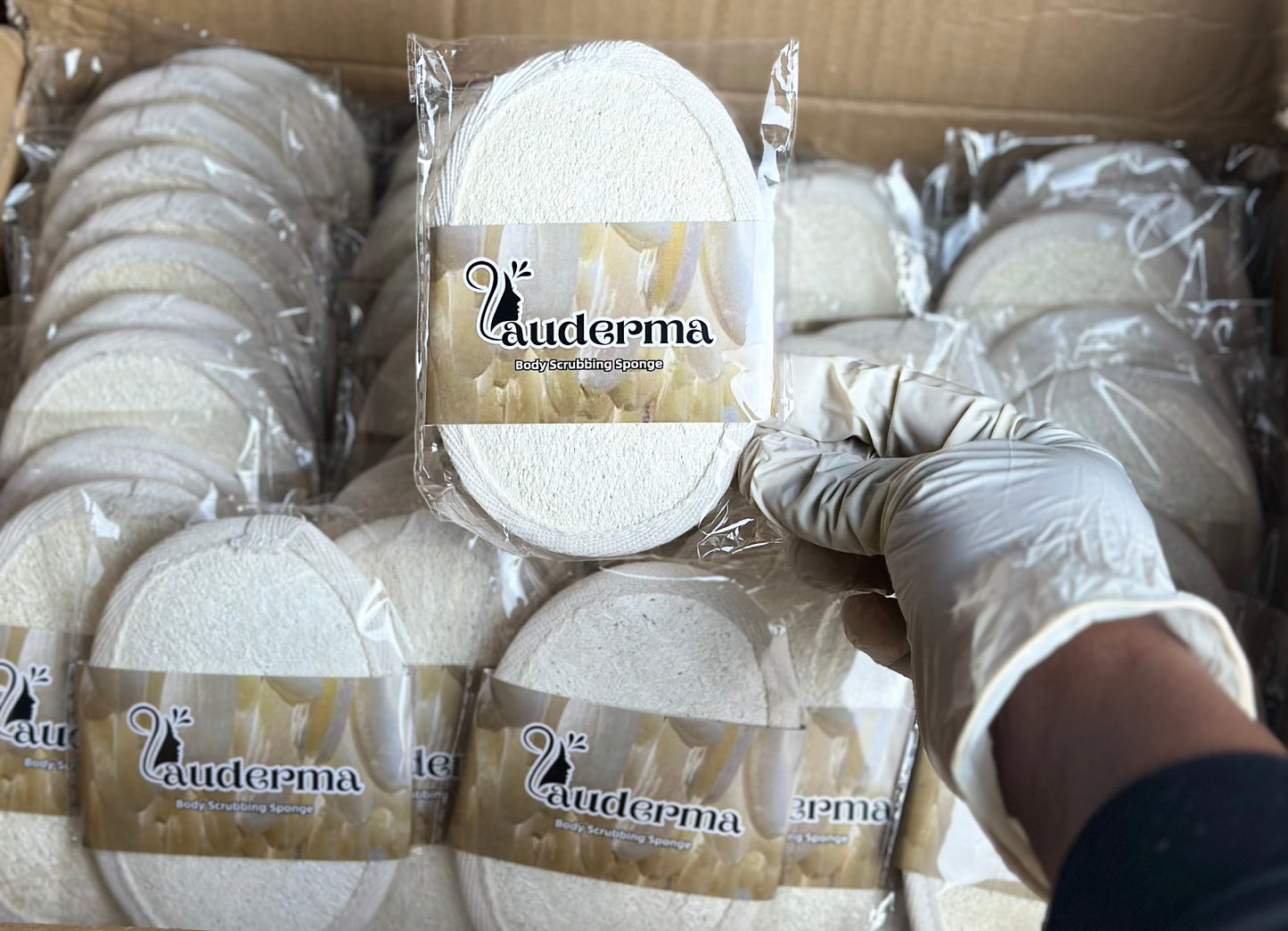 Body Scrubbing Sponge